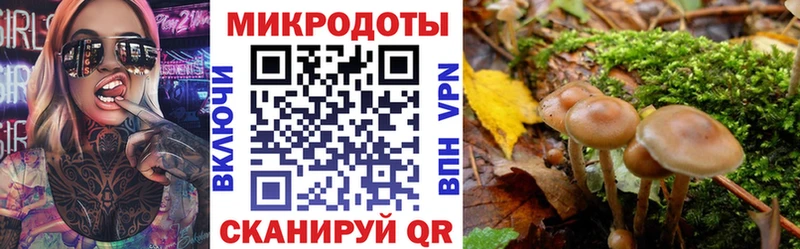 Галлюциногенные грибы Psilocybine cubensis  мориарти наркотические препараты  Кола 